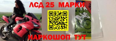 ГАЛЛЮЦИНОГЕННЫЕ ГРИБЫ Белореченск