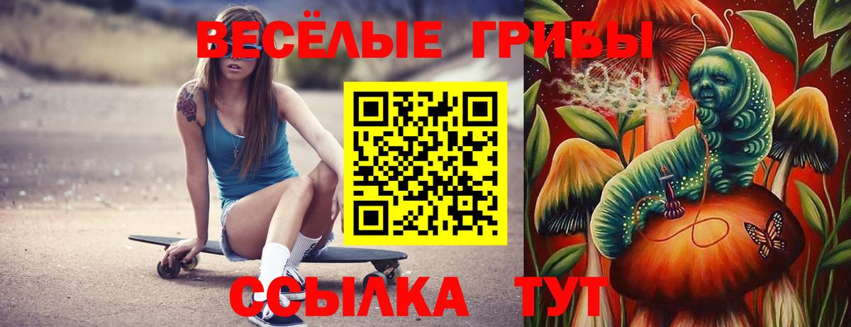 как найти закладки  Вход с VPN  Гулькевичи  Псилоцибиновые грибы Psilocybine cubensis 